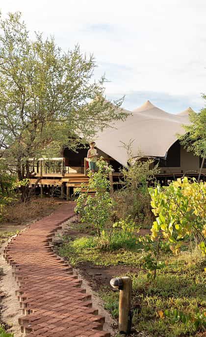 Tlouwana Camp, Chobe | Timbuktu Travel