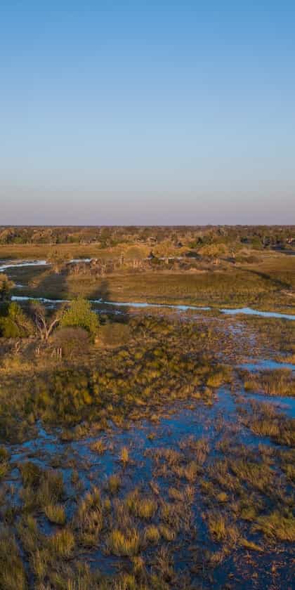 Mma Dinare, Moremi | Timbuktu Travel