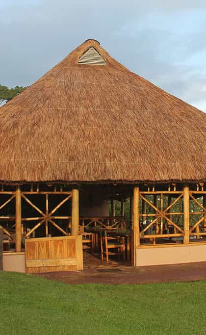 Chimpanzee Forest Lodge, Kibale | Timbuktu Travel