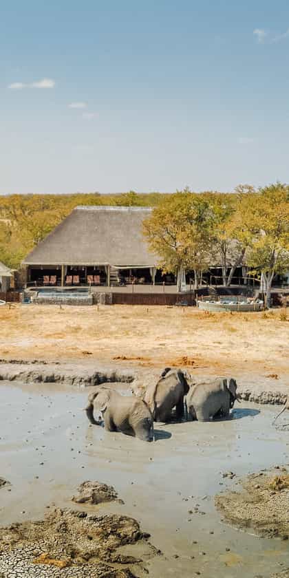 Camp Kuzuma, Chobe | Timbuktu Travel