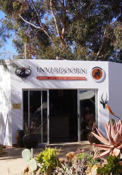 Iziba Safari Lodge, Cape Winelands | Timbuktu Travel