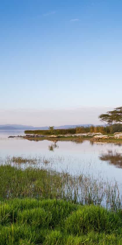 Hara Langano, Shashemene | Timbuktu Travel