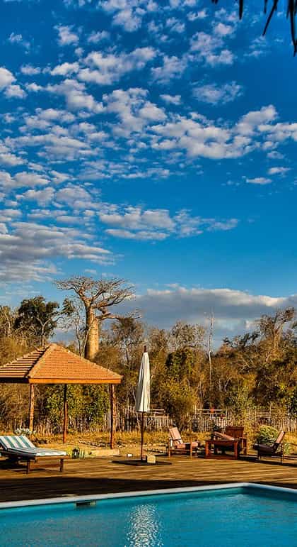 Le Relais du Kirindy, Kirindy Forest Reserve | Timbuktu Travel