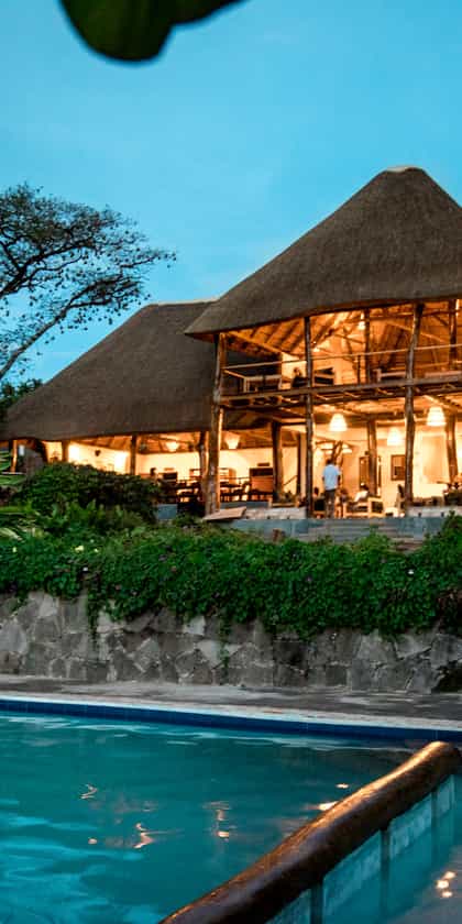 Turaco Tree Tops, Kibale | Timbuktu Travel