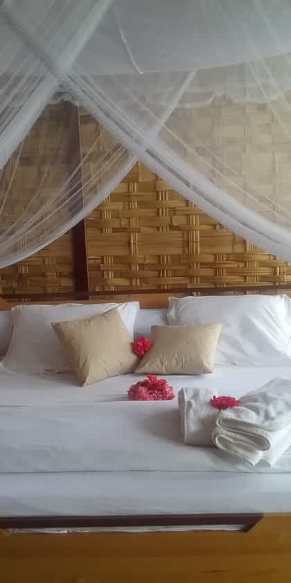 Black Lemur Camp, Andrafiamena | Timbuktu Travel