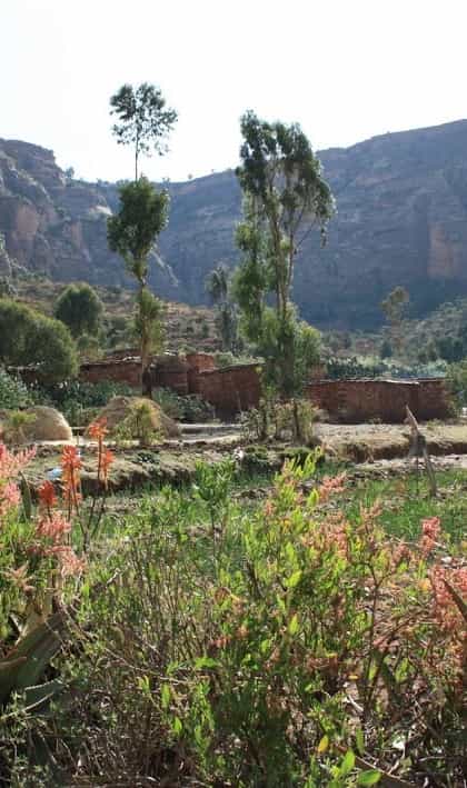 Erar Guesthouse, Gheralta | Timbuktu Travel