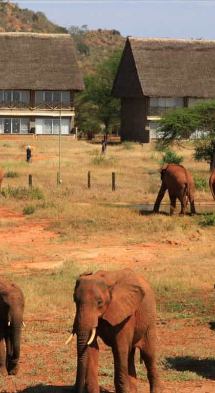 Manyatta Camp, Tsavo | Timbuktu Travel