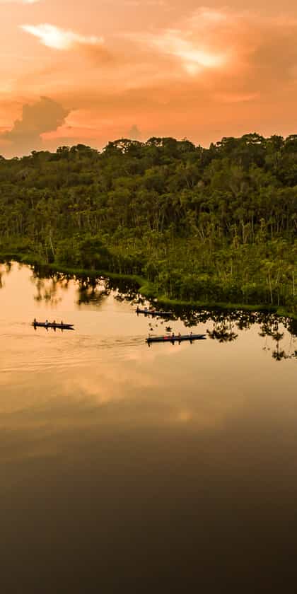 Sacha Lodge, The Ecuadorian Amazon | Timbuktu Travel