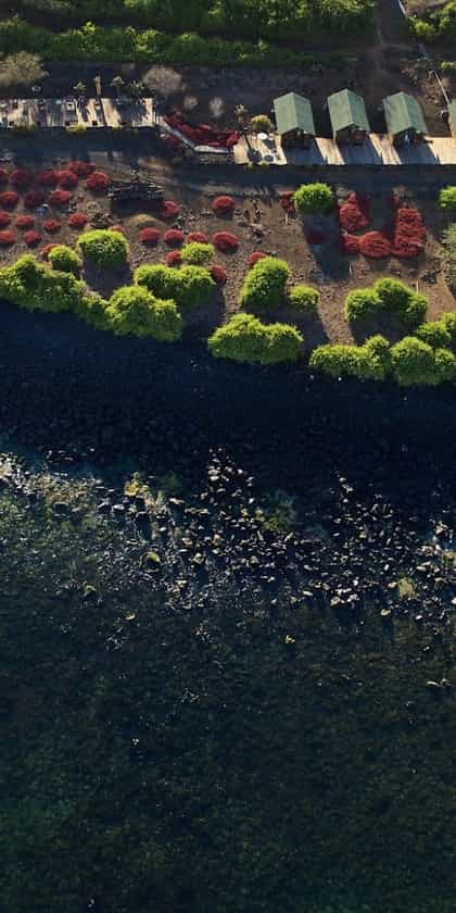 Floreana Lava Lodge, Floreana Island | Timbuktu Travel