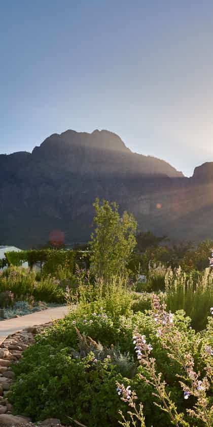 Boschendal - Retreat Cottages, The Franschhoek Valley | Timbuktu Travel
