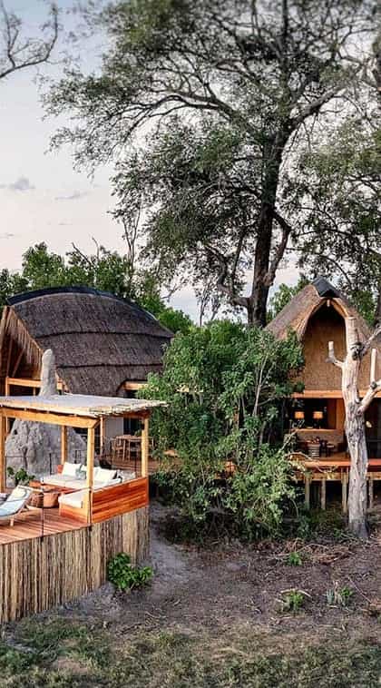 Tawana Camp, Moremi | Timbuktu Travel