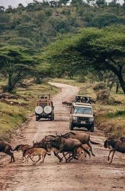Serengeti National Park