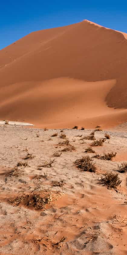 Sossusvlei