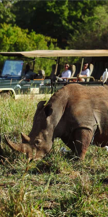 Meru National Park