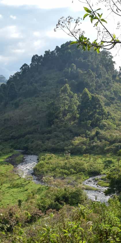 Aberdare National Park
