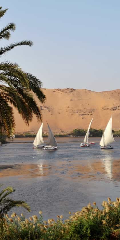 Aswan