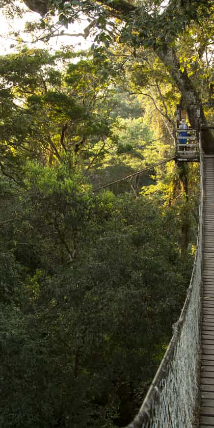 Tambopata National Reserve