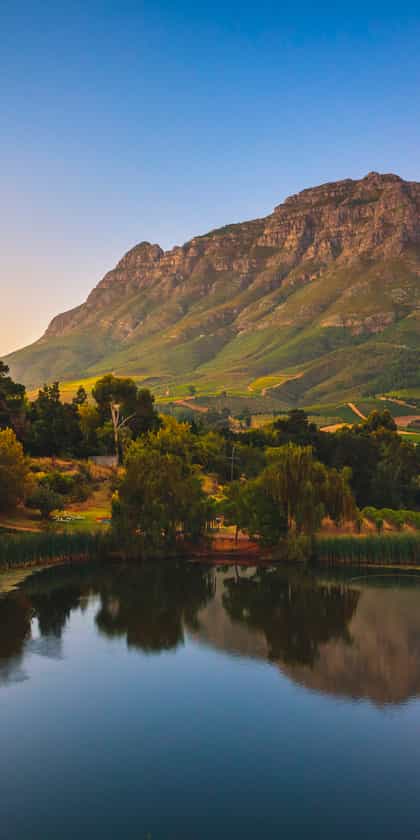 Stellenbosch
