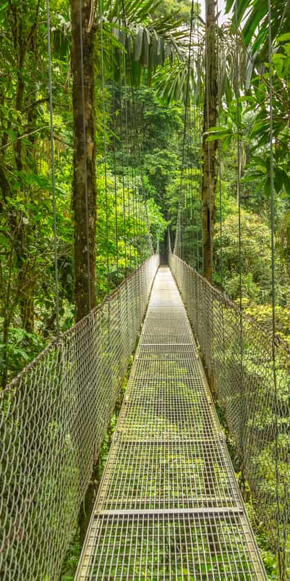 Monteverde Cloud Forest
