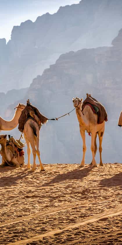 Wadi Rum