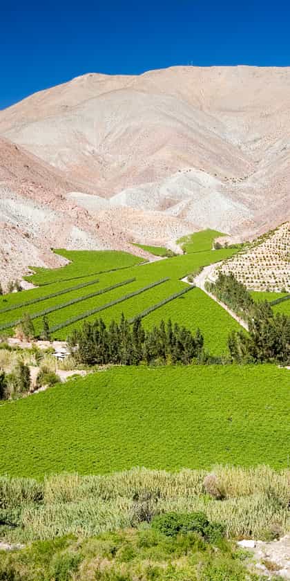 The Elqui Valley