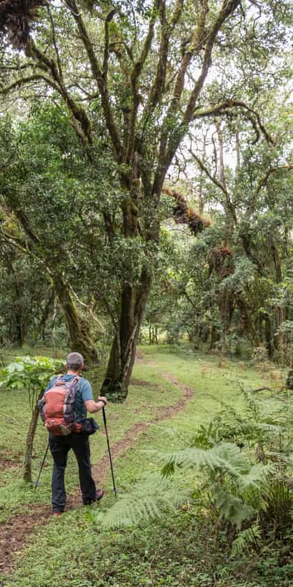 Udzungwa Mountains National Park