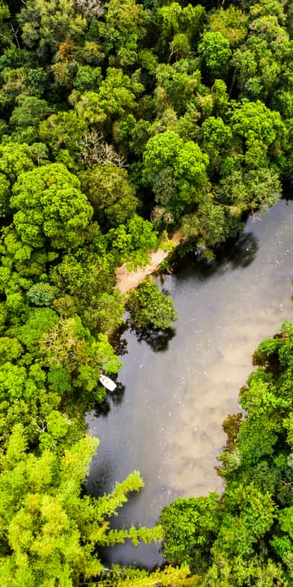 The Colombian Amazon