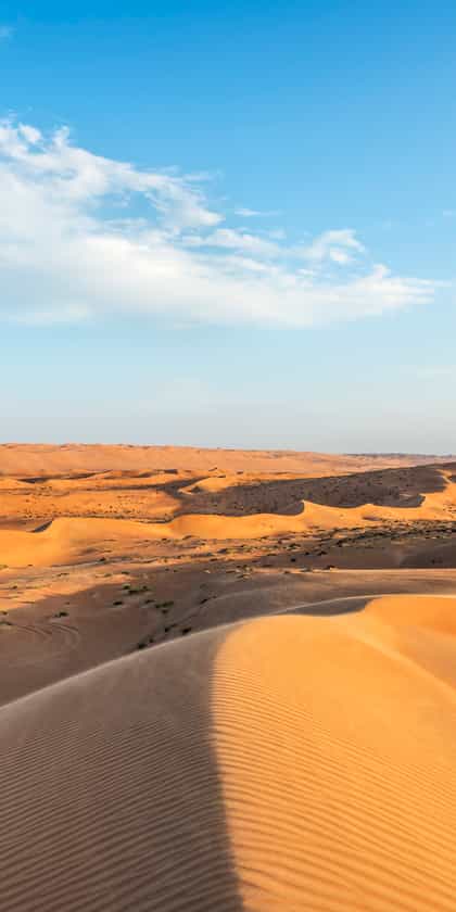 Wahiba Sands