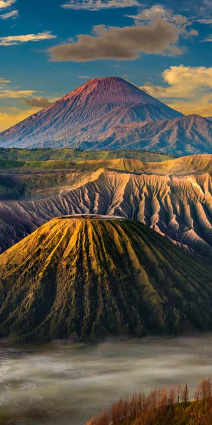 Bromo