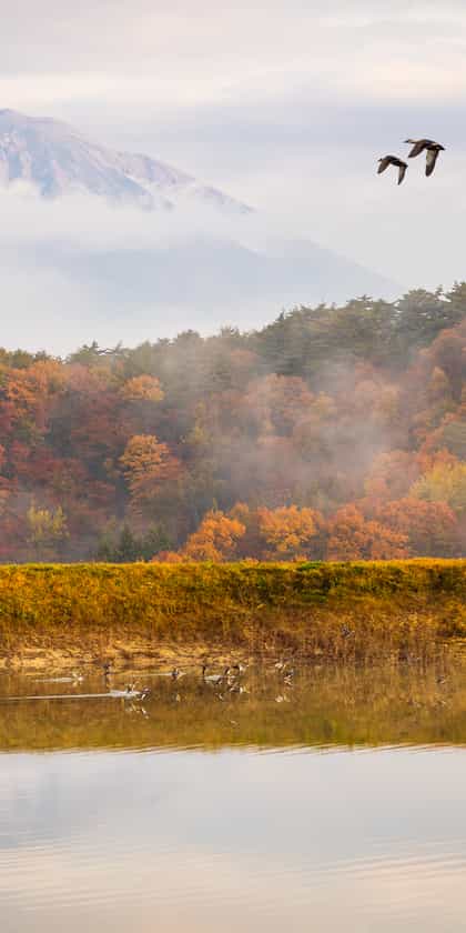 Shiretoko Peninsula