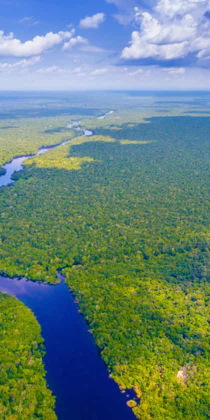 Brazilian Amazon