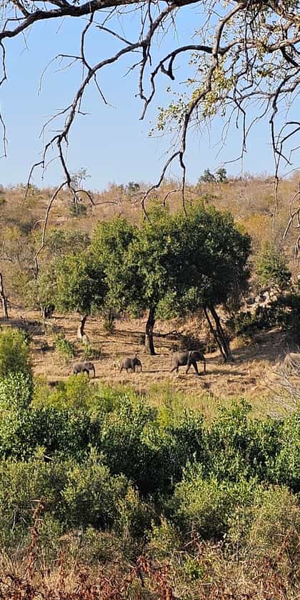 Klaserie Private Nature Reserve