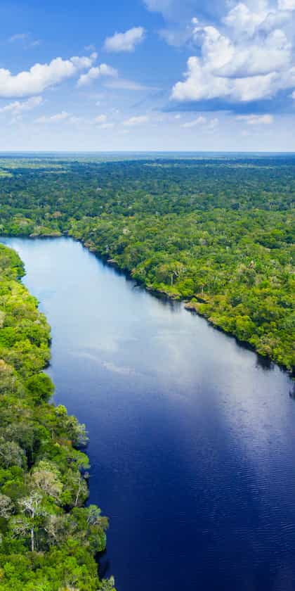 Amazonas