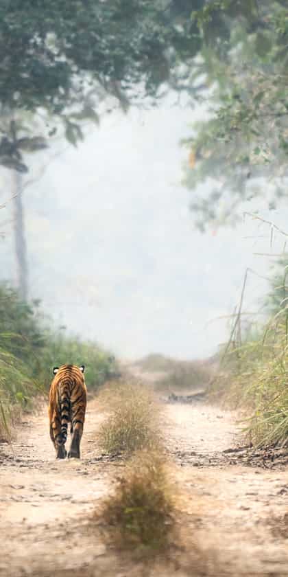 Chitwan National Park