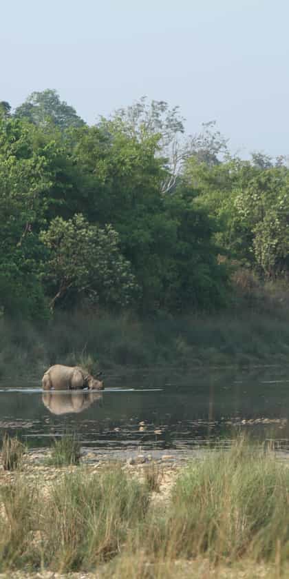 Bardia National Park