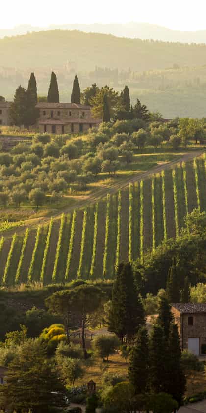Chianti & Central Tuscany