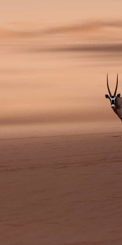 When to visit Africa