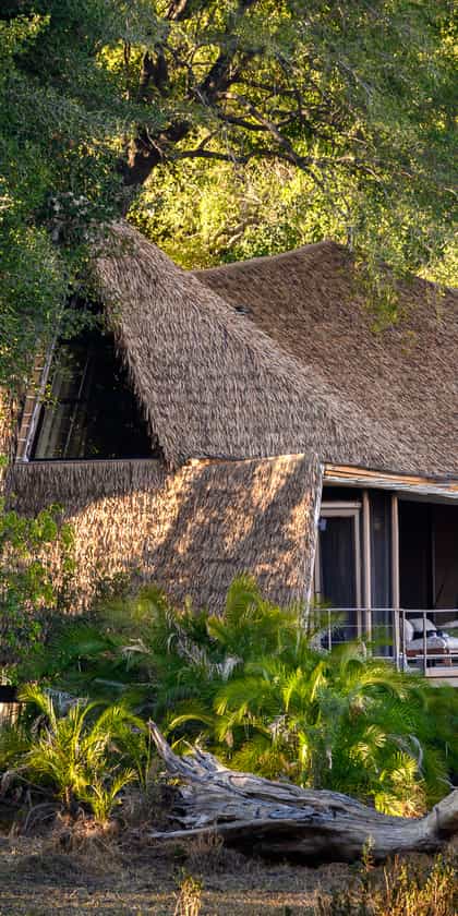 Jao Camp, Central Okavango | Timbuktu Travel