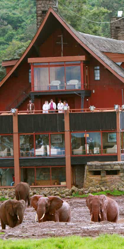 The Ark Lodge, Aberdare | Timbuktu Travel