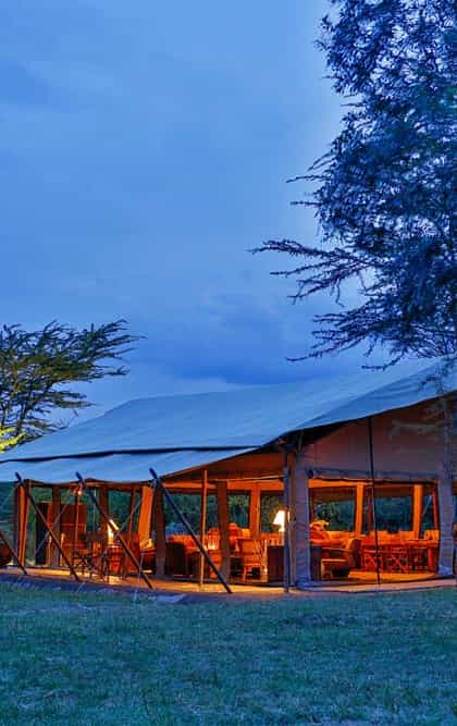 Olengoti Eco Safari Camp, Masai Mara | Timbuktu Travel