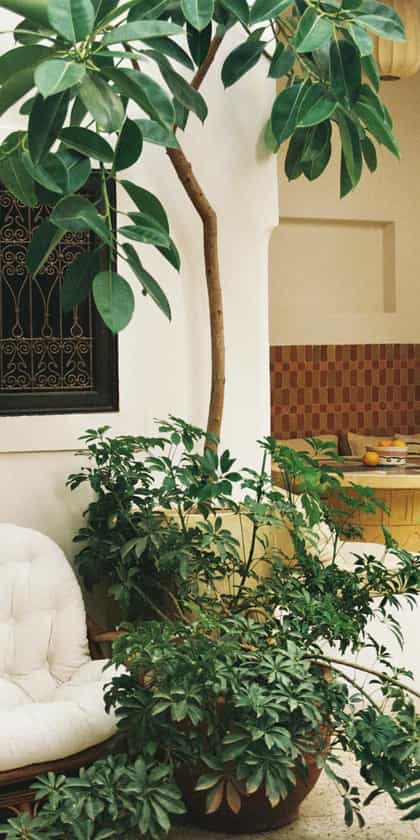 Riad Rosemary, Marrakesh | Timbuktu Travel