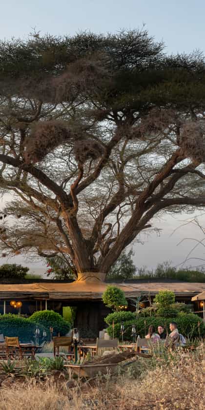 Tulia Amboseli Safari Camp, Amboseli & Chyulu Hills | Timbuktu Travel