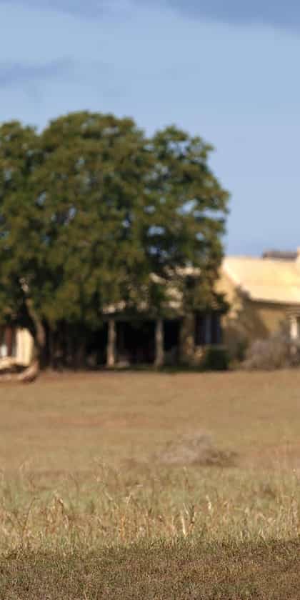 Gorah Elephant Camp, Eastern Cape | Timbuktu Travel