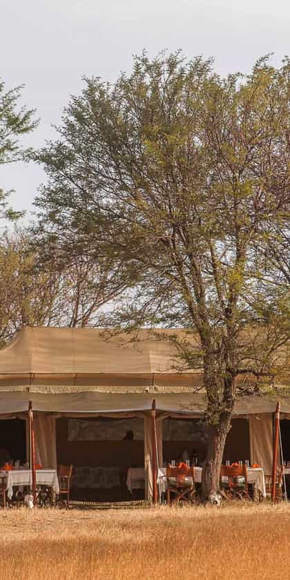 Ndutu Under Canvas Tented Camp, Serengeti | Timbuktu Travel