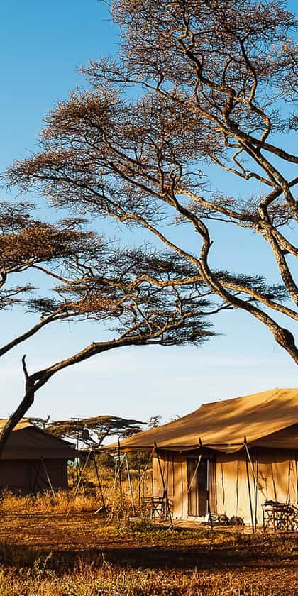 Mara Under Canvas Tented Camp, Serengeti | Timbuktu Travel