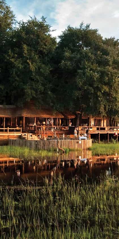 Chief’s Camp, an A&K Sanctuary, Central Okavango | Timbuktu Travel