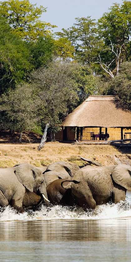 Nsefu Camp, South Luangwa | Timbuktu Travel