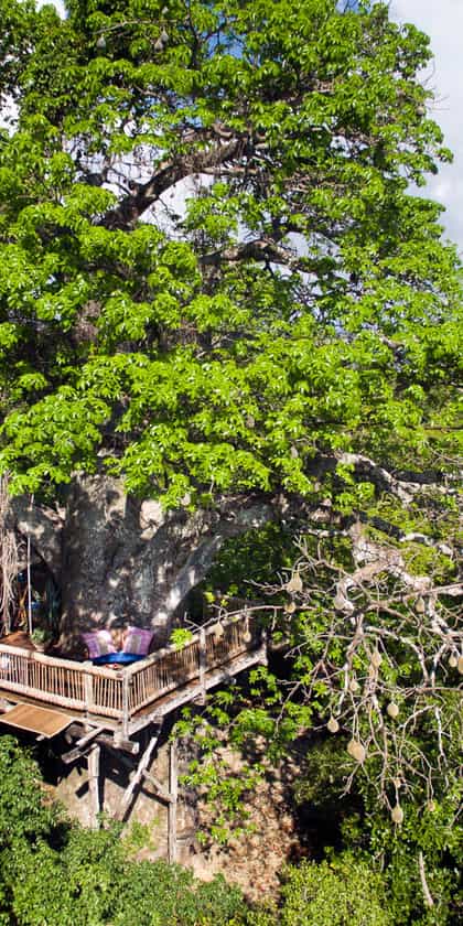 Chole Mjini, Mafia Island | Timbuktu Travel