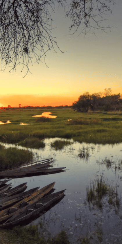 Oddballs' Camp, Central Okavango | Timbuktu Travel
