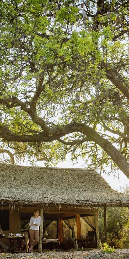 Nomad Kigelia Ruaha Camp, Ruaha | Timbuktu Travel